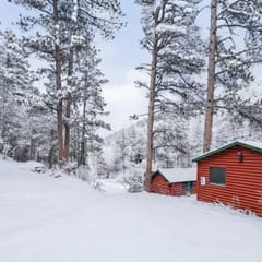 Cabin #9